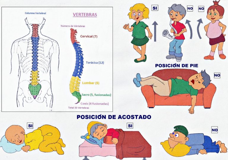 Fundamentos de la higiene postural