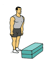 Salto frontal