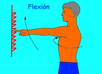 Ejercicio de reptación en flexión