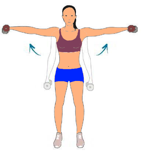 fortalecimiento hombos y extensoes