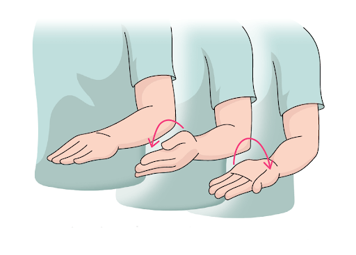 Rotación antebrazo