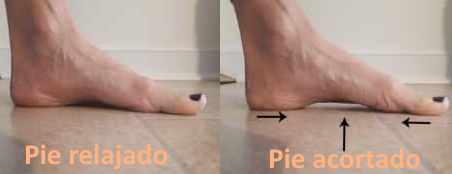 Ejercicio short foot para activación del arco plantar