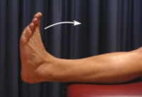 Figura 2