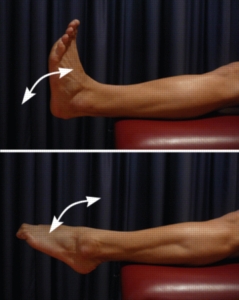 Figura 3