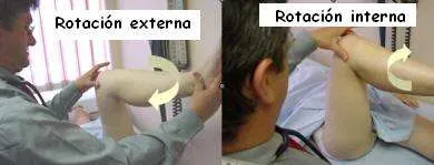 Exploración de la rotación de cadera