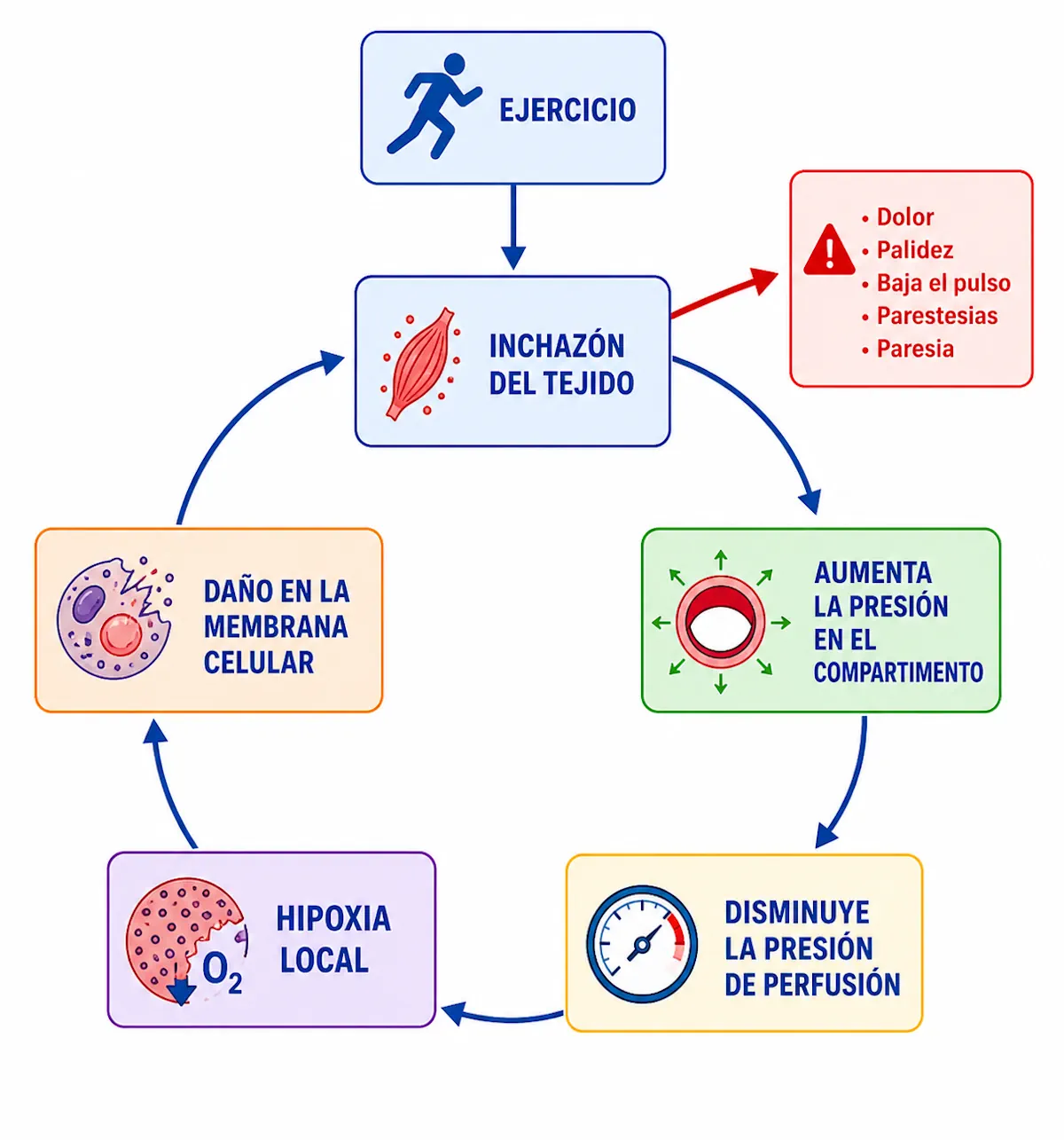 Dolor de pierna durante el ejercicio en síndrome compartimental crónico de esfuerzo