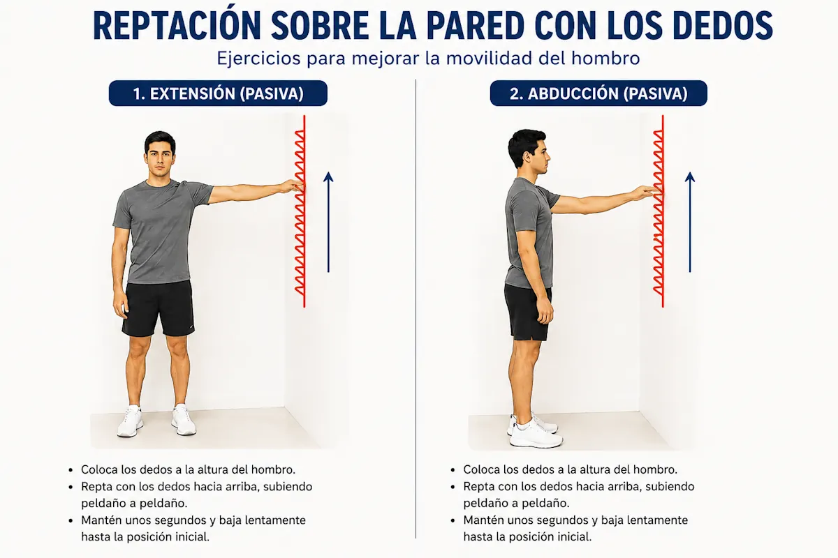 Reptación por la pared para recuperar flexión de hombro
