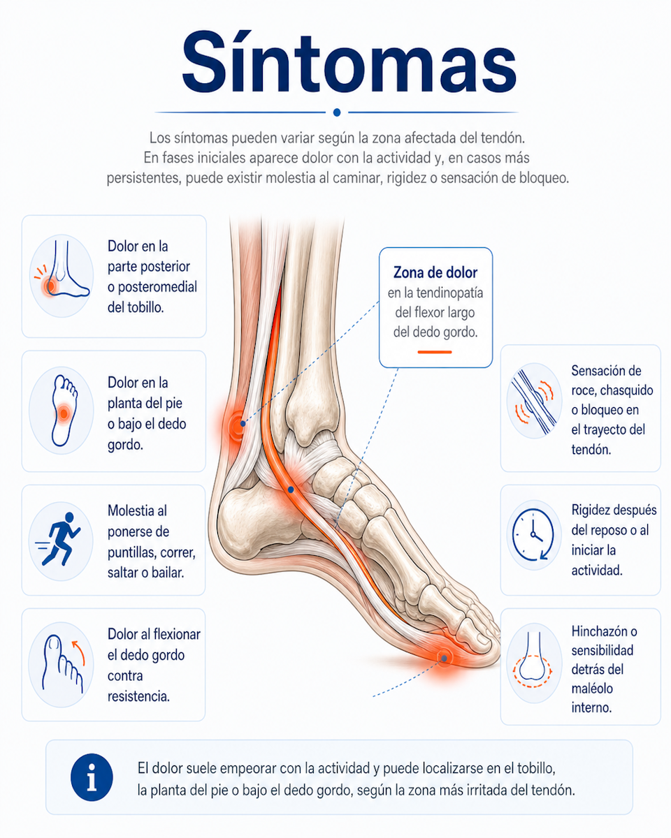Zona de dolor en la tendinopatía del flexor largo del dedo gordo