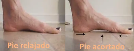 Ejercicio short foot para activación del arco plantar