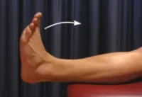 Función de dorsiflexión del tibial anterior